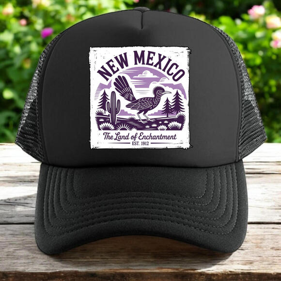 New Mexico trucker hat mens O/S black snapback unisex the land of enchantment - Picture 1 of 4
